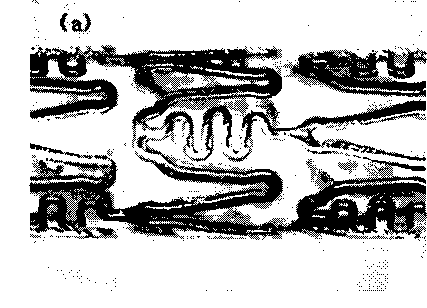 Method for preparing blood vessel stent with polyester medicament eluting coating