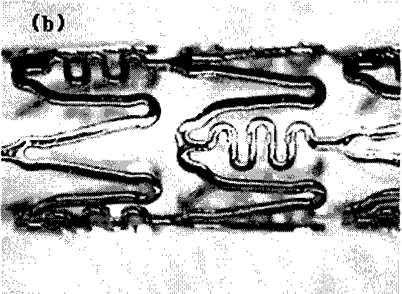 Method for preparing blood vessel stent with polyester medicament eluting coating