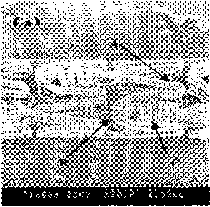 Method for preparing blood vessel stent with polyester medicament eluting coating