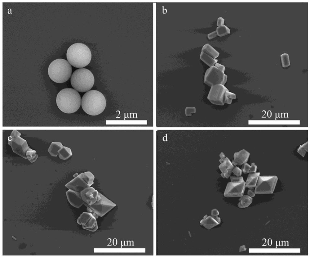 Preparation method and application of spherical cobalt oxalate