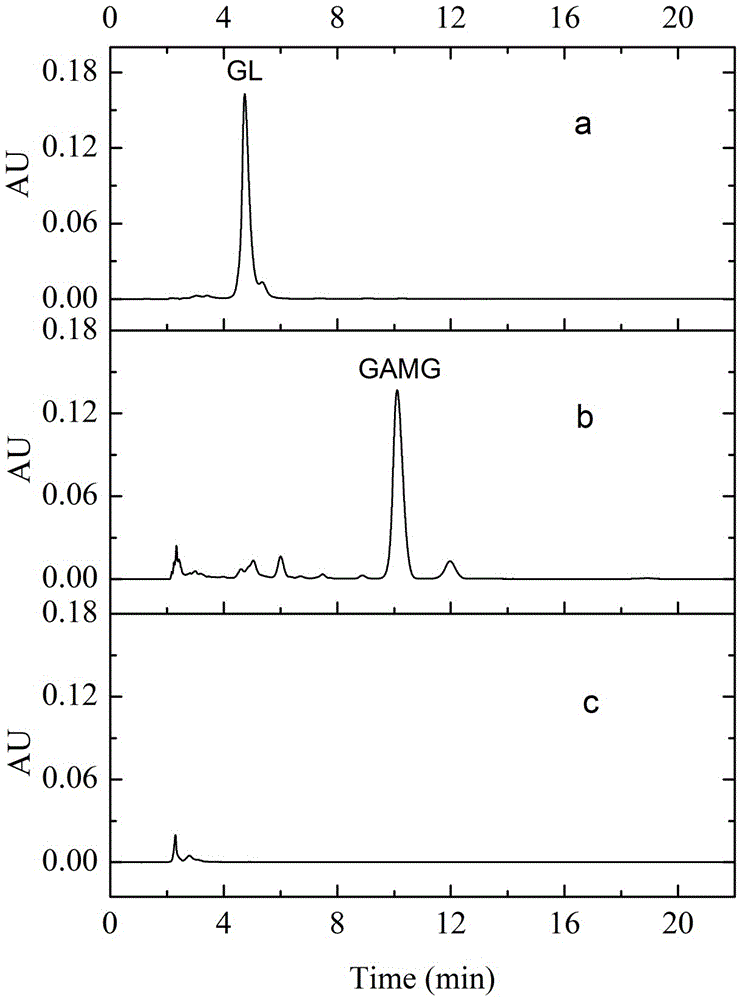 Strain of Dongxiang wild rice endophytic fungus for producing GAMG (glycyrrhetinic acid mono-glucuronide) by efficiently converting glycyrrhizic acid and application thereof