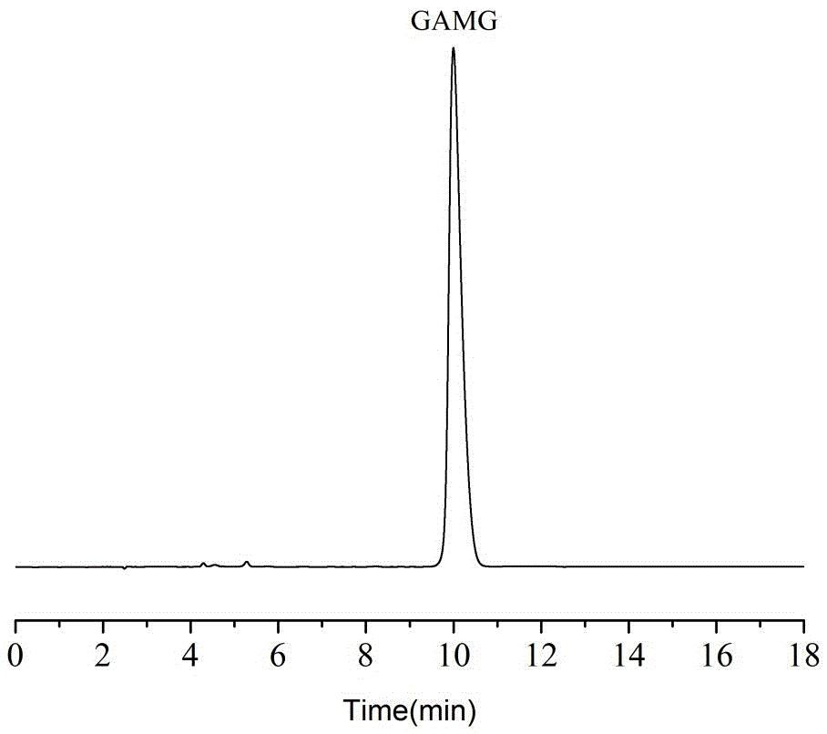 Strain of Dongxiang wild rice endophytic fungus for producing GAMG (glycyrrhetinic acid mono-glucuronide) by efficiently converting glycyrrhizic acid and application thereof