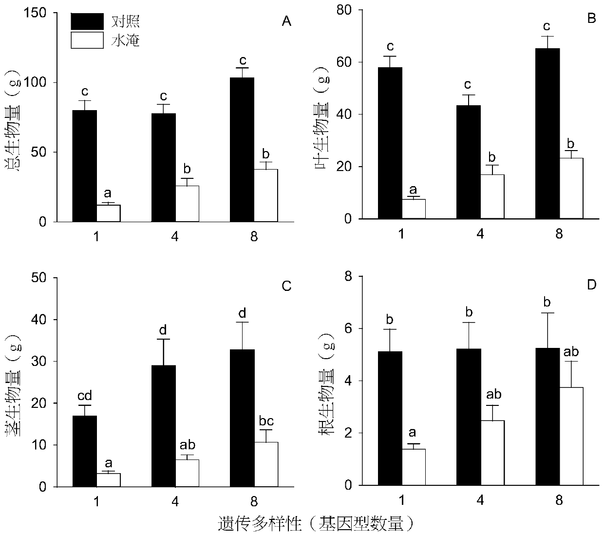 Hydrocotyle vulgaris cultivation method capable of improving water logging stress resistance