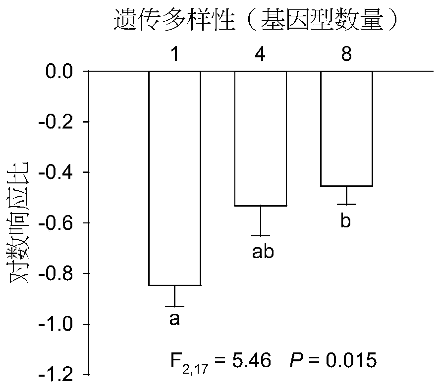 Hydrocotyle vulgaris cultivation method capable of improving water logging stress resistance