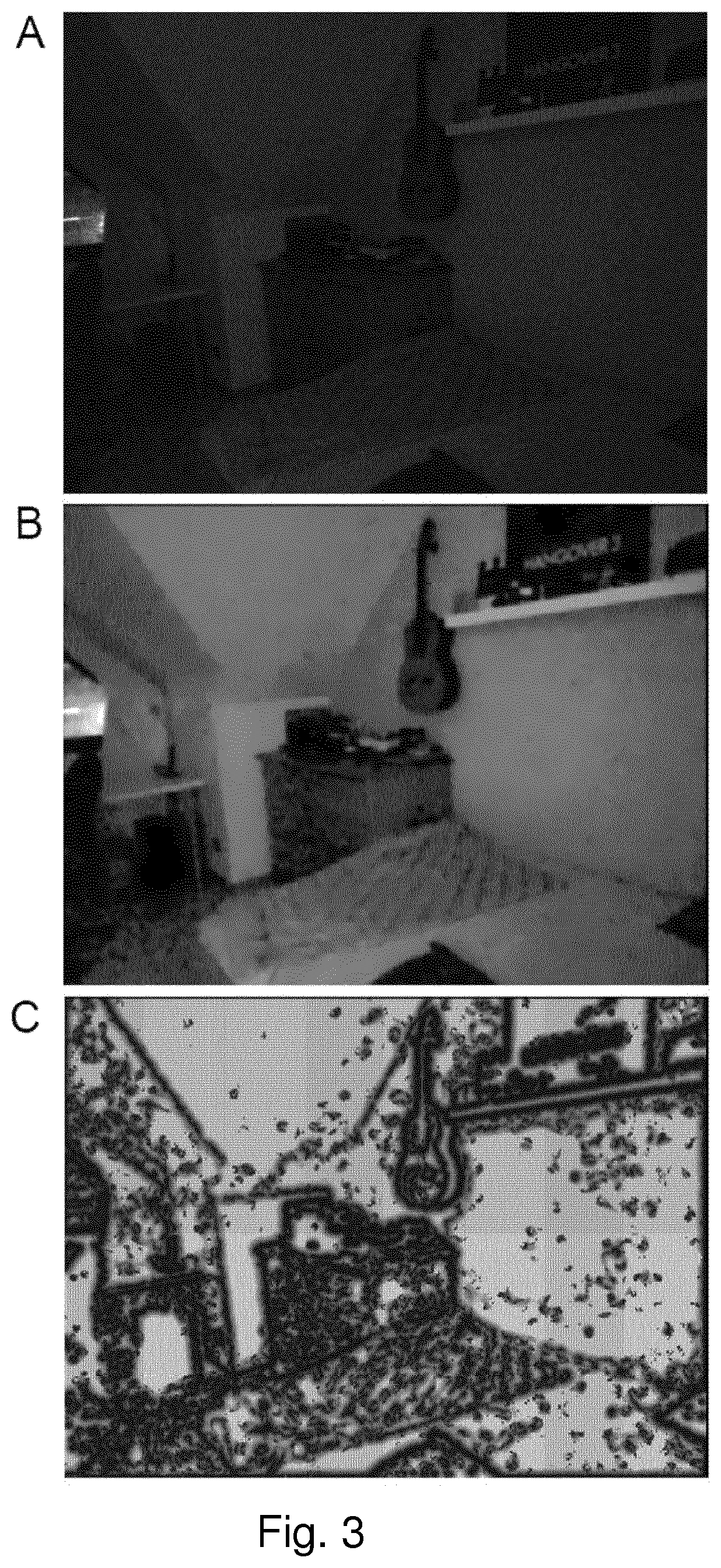 Method and device for image processing