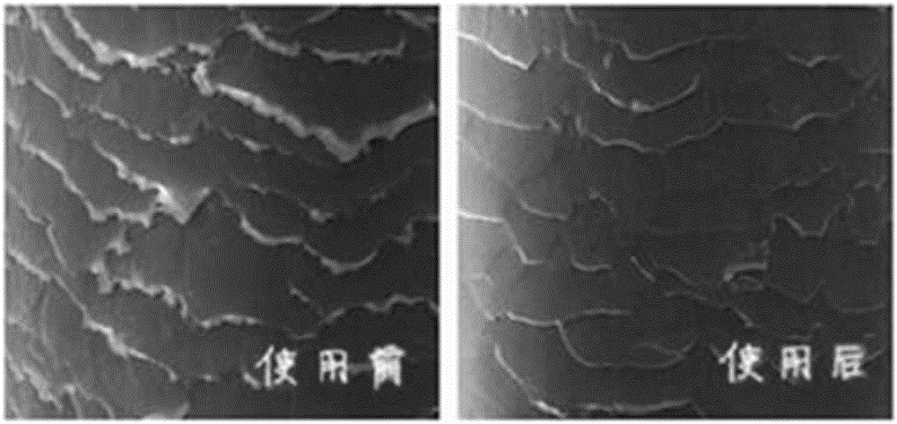 Adansonia digitata fruit oil liquid shampoo and preparation method thereof