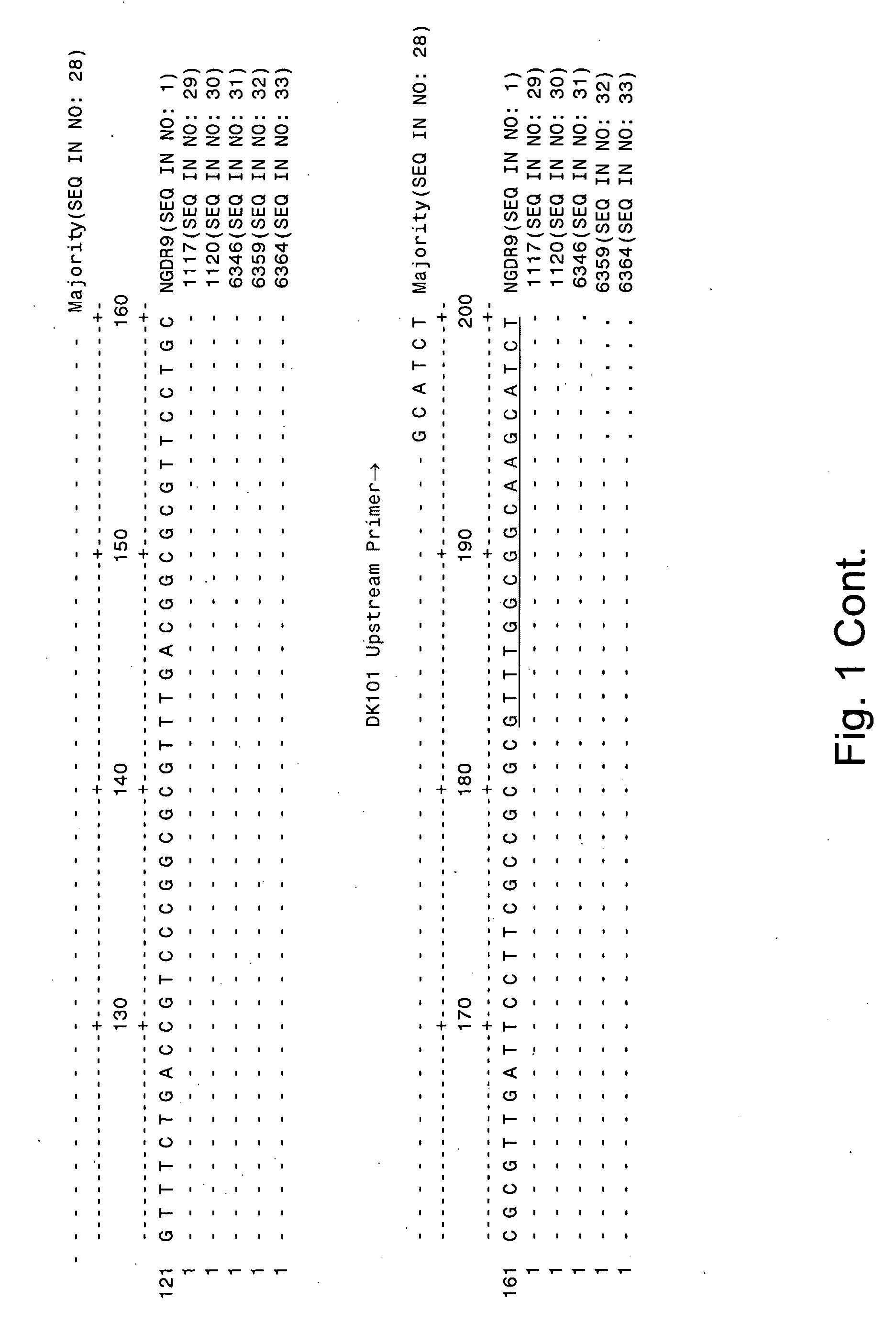 Reagents and methods for detecting neisseria gonorrhoeae