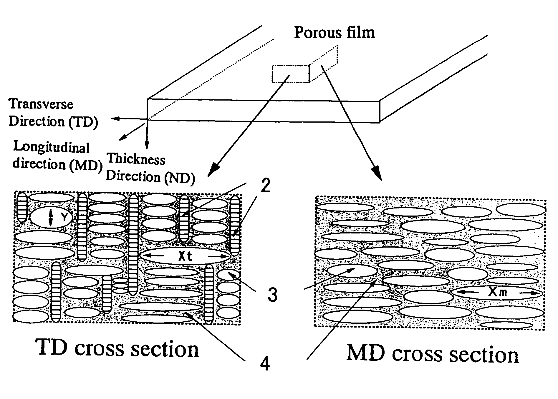 Successively biaxial-oriented porous polypropylene film and process for production thereof