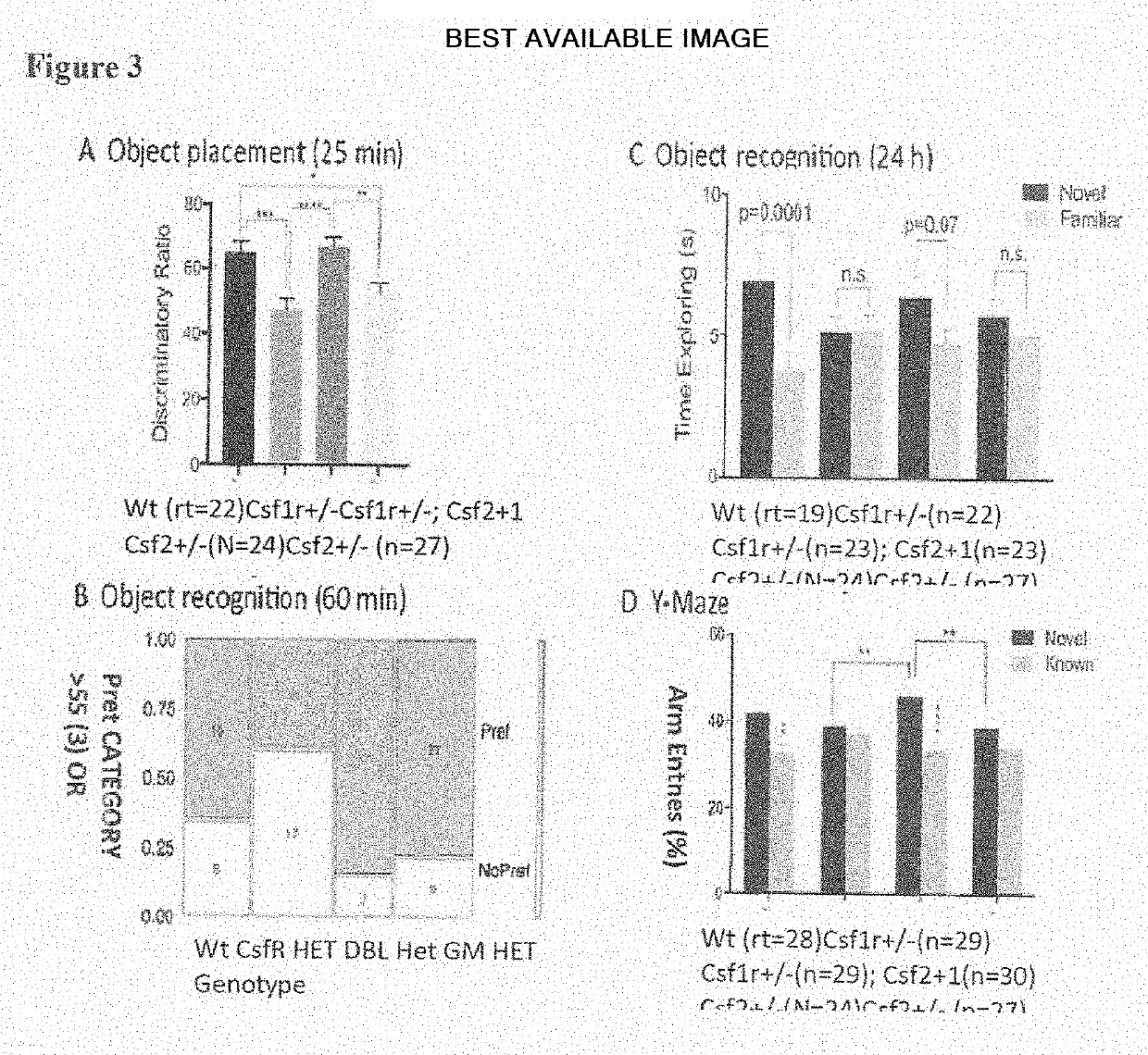 Novel method and compounds for treatment of cognitive loss associated with adult onset leukodystrophy with axonal spheroids and pigmented glia (ALSP) and other neurodegenerative diseases involving reduced colony stimulating factor-1 receptor (CSF-1R) signaling