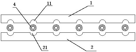 NoveL decorative Leather based on skeLeton and preparation method of noveL decorative Leather