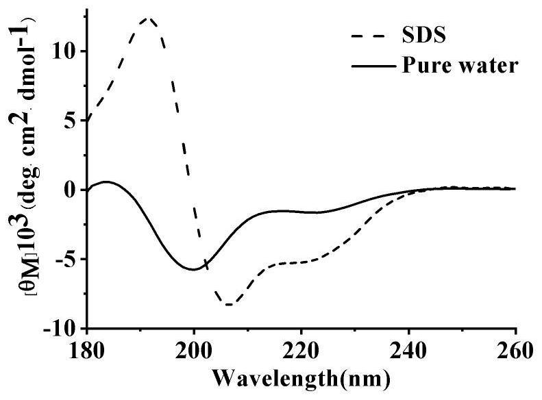 Preparation of anti-cancer lipopeptide and application of anti-cancer lipopeptide in anti-tumor treatment