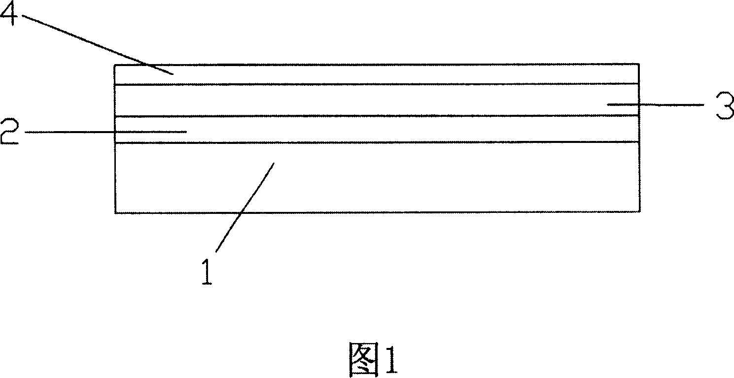 Treatment method for plastic rubber surface with coloured titanium metal texture