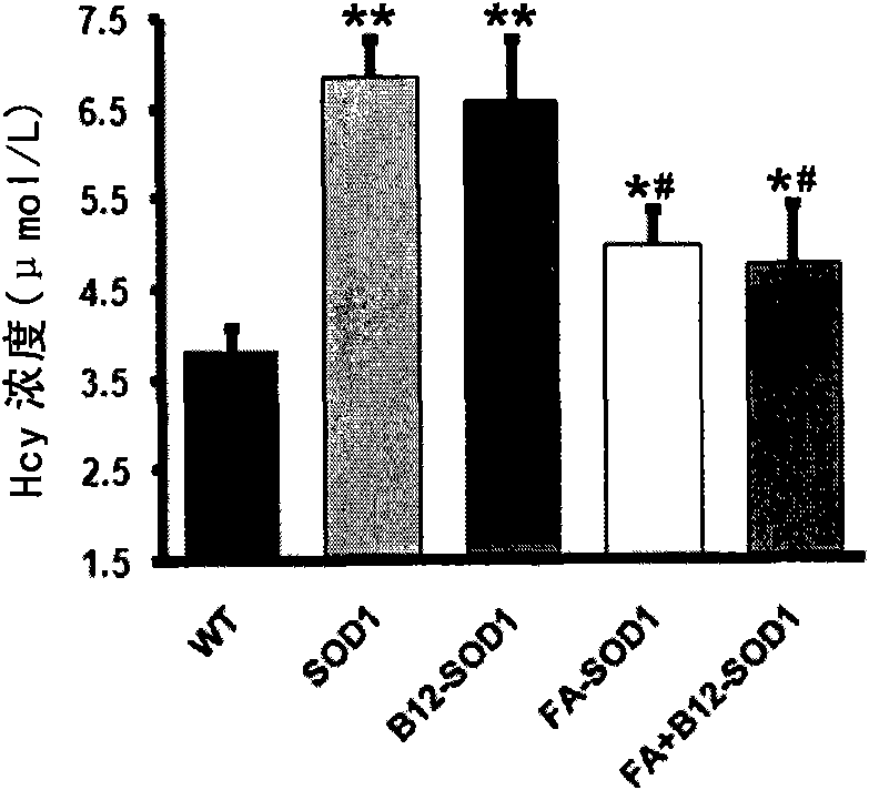 Composition for preventing and treating amyotrophic lateral sclerosis