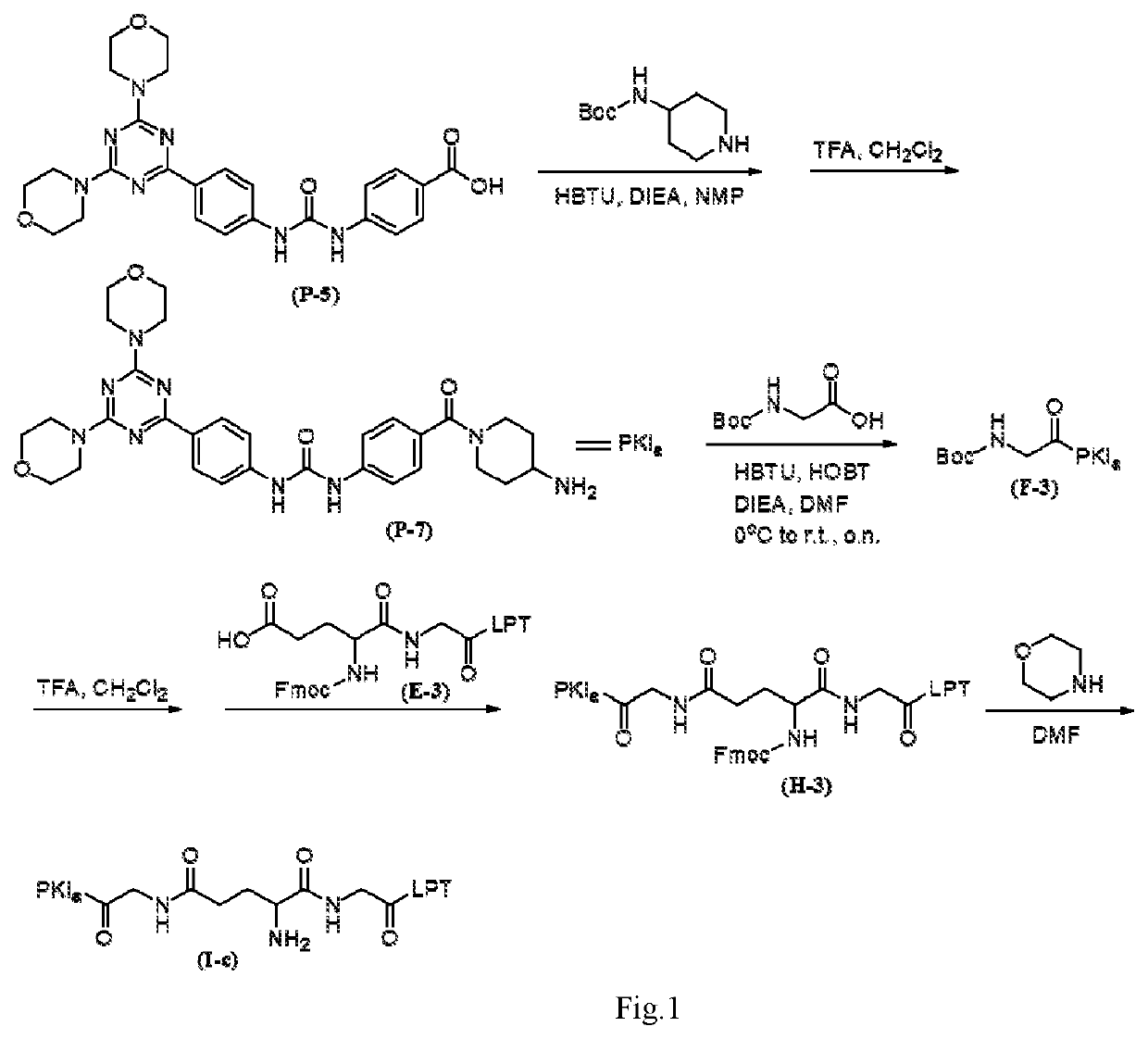 Intermediate drug with synergistic anticancer activity and polyethylene glycol-coupled synergistic anticancer drug, and preparation method therefor and use thereof