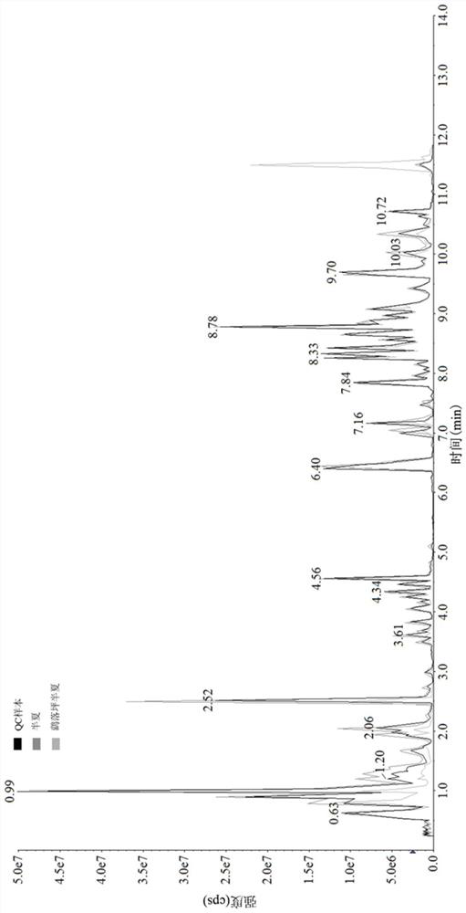 Method for evaluating quality of pinellia ternate and Pinellia yaoluopingensis based on organic acid