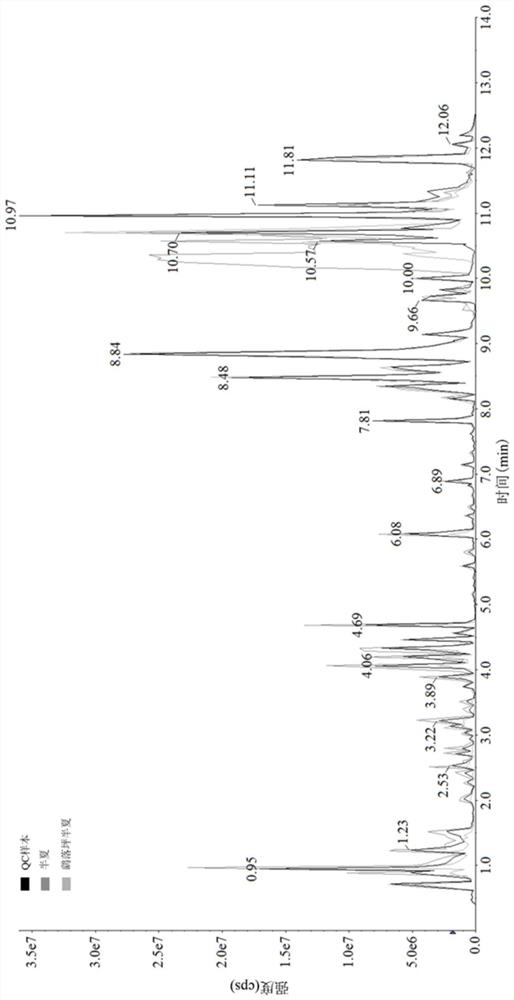 Method for evaluating quality of pinellia ternate and Pinellia yaoluopingensis based on organic acid