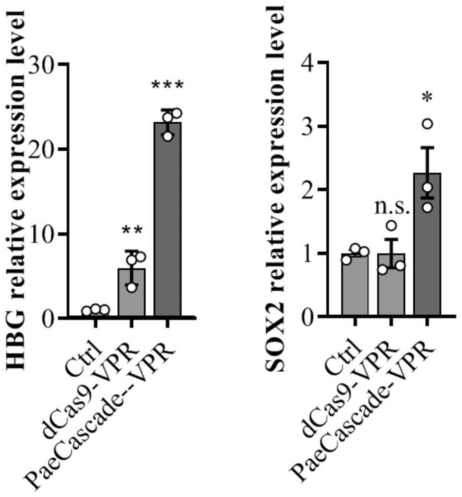 Gene expression regulation and control method and system based on Type I-F CRISPR/ Cas