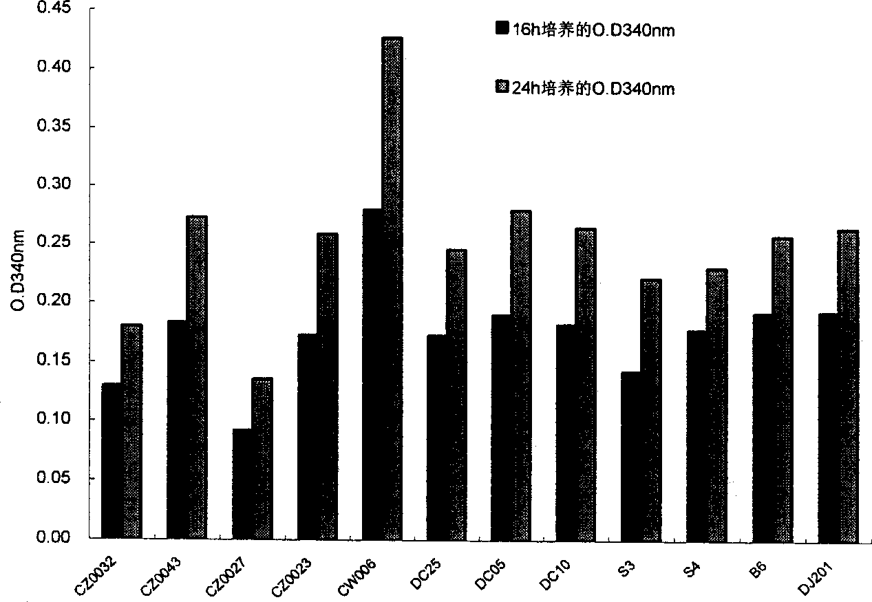 Lactobacillus plantarum CW006 with antihypertensive function