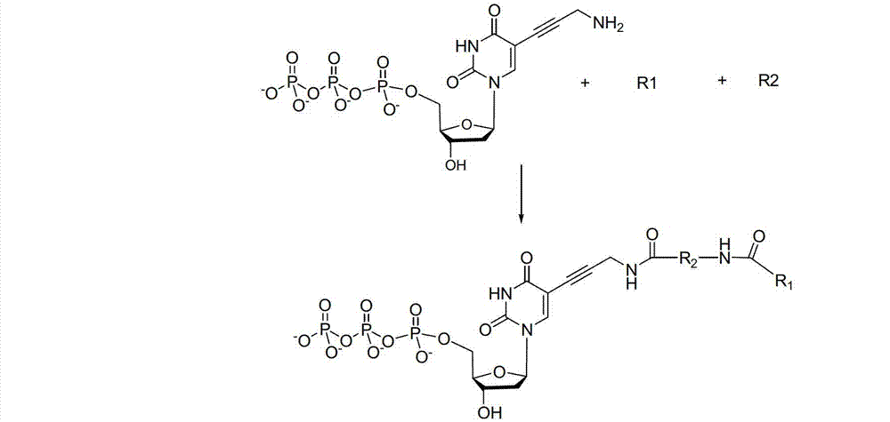 Reversible terminal and synthesis and use in DNA synthesis sequencing thereof