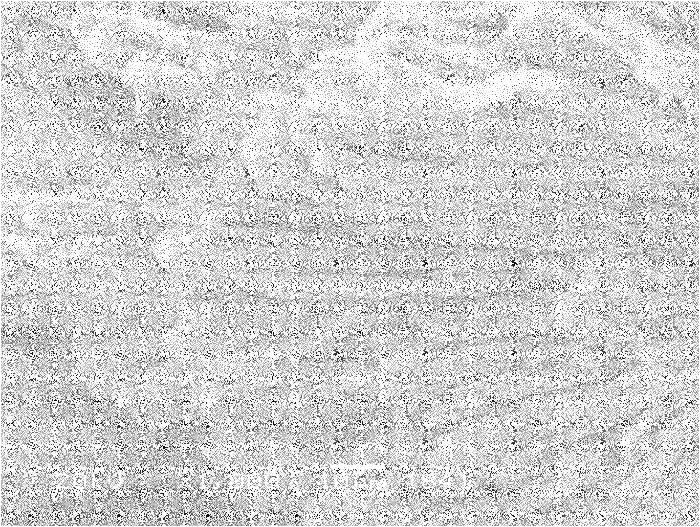 Method for extracting tungsten from scheelite and producing high-quality calcined gypsum