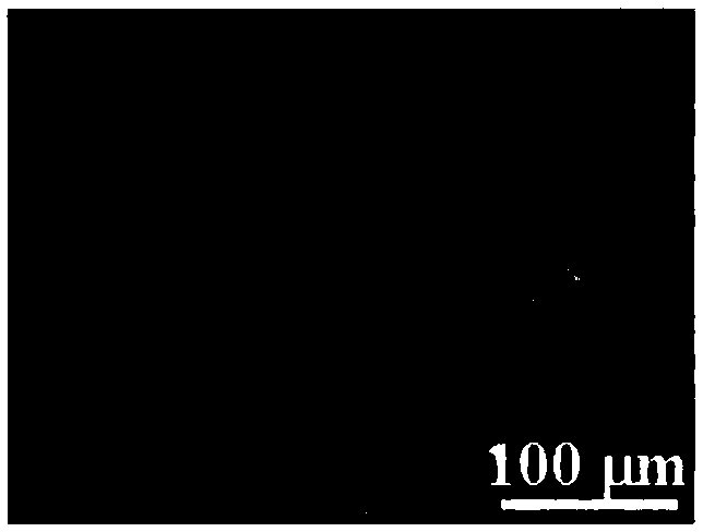 Preparation method of monolayer and mono-crystal graphene