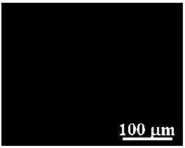 Preparation method of monolayer and mono-crystal graphene