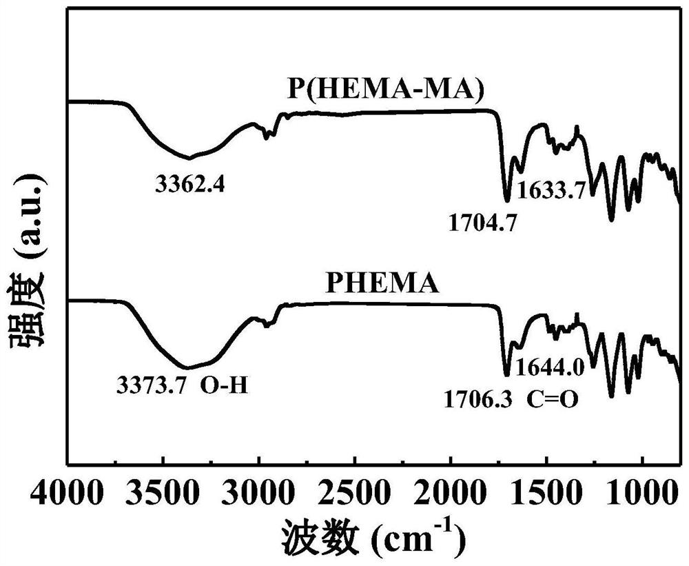 High-toughness hydrogel based on PHEMA as well as preparation method and application of the high-toughness hydrogel