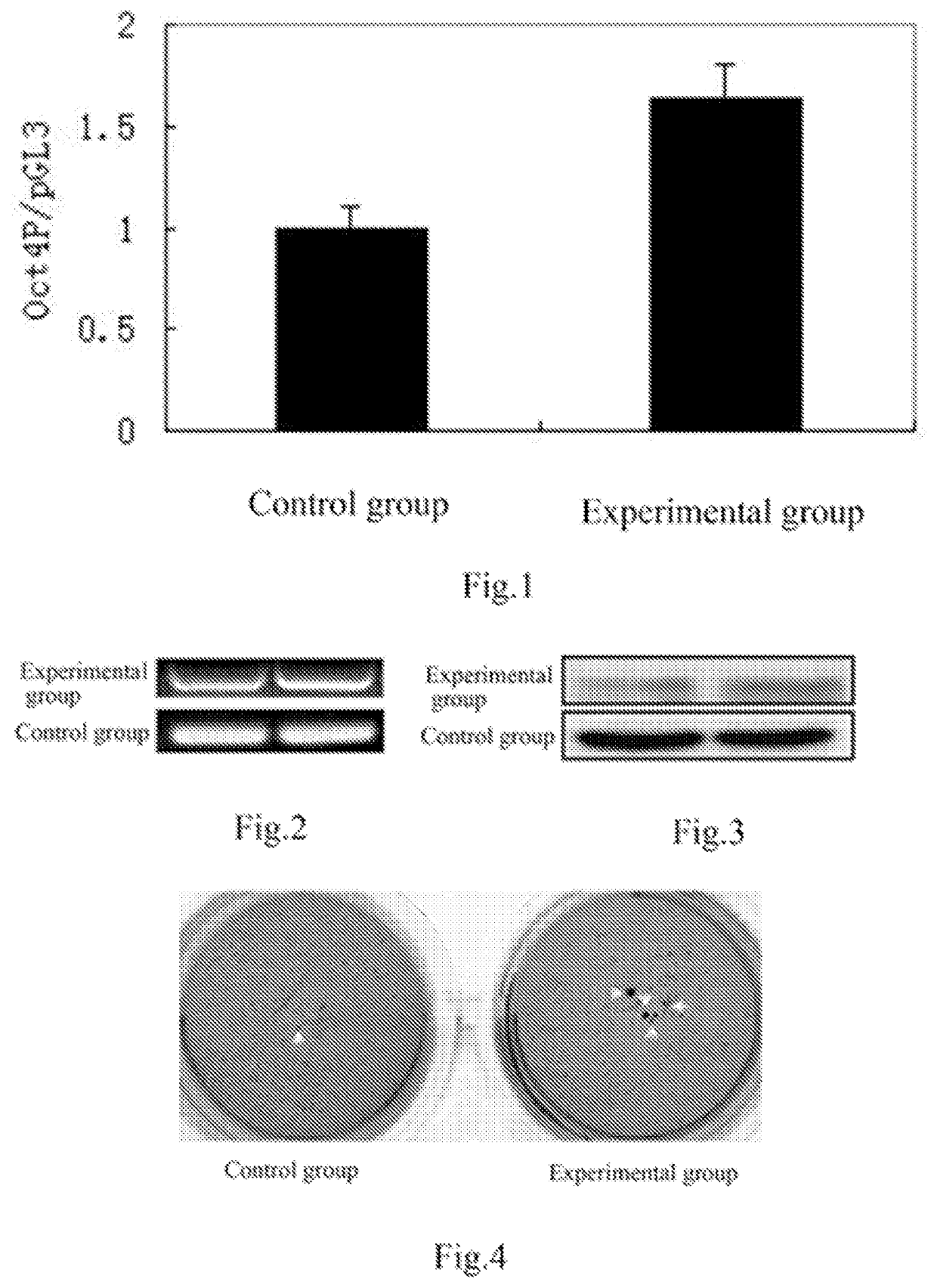 Application of ethyl p-methoxycinnamate and derivatives thereof in maintaining self-renewal and pluripotency of stem cells