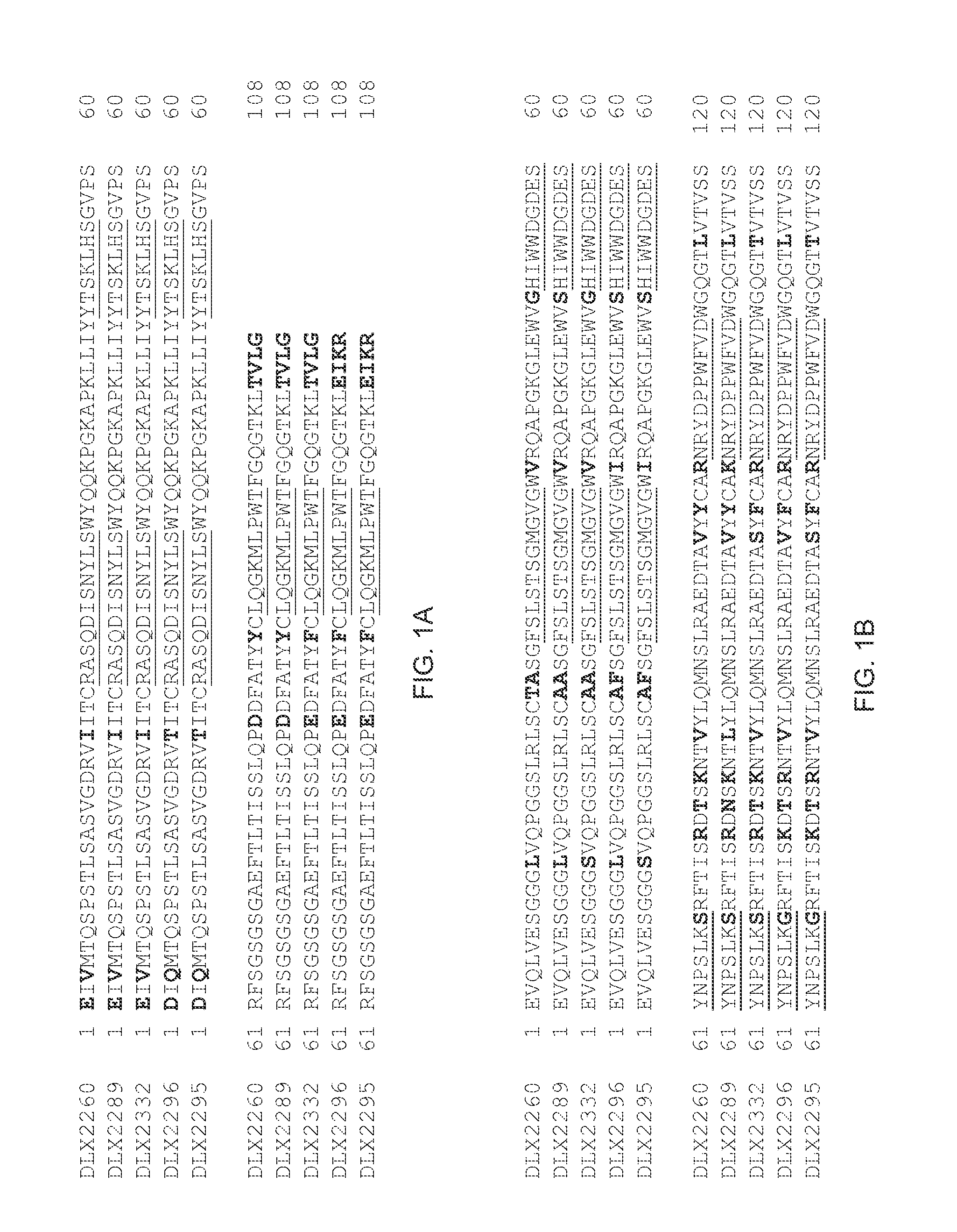 Antibodies against il-1 beta