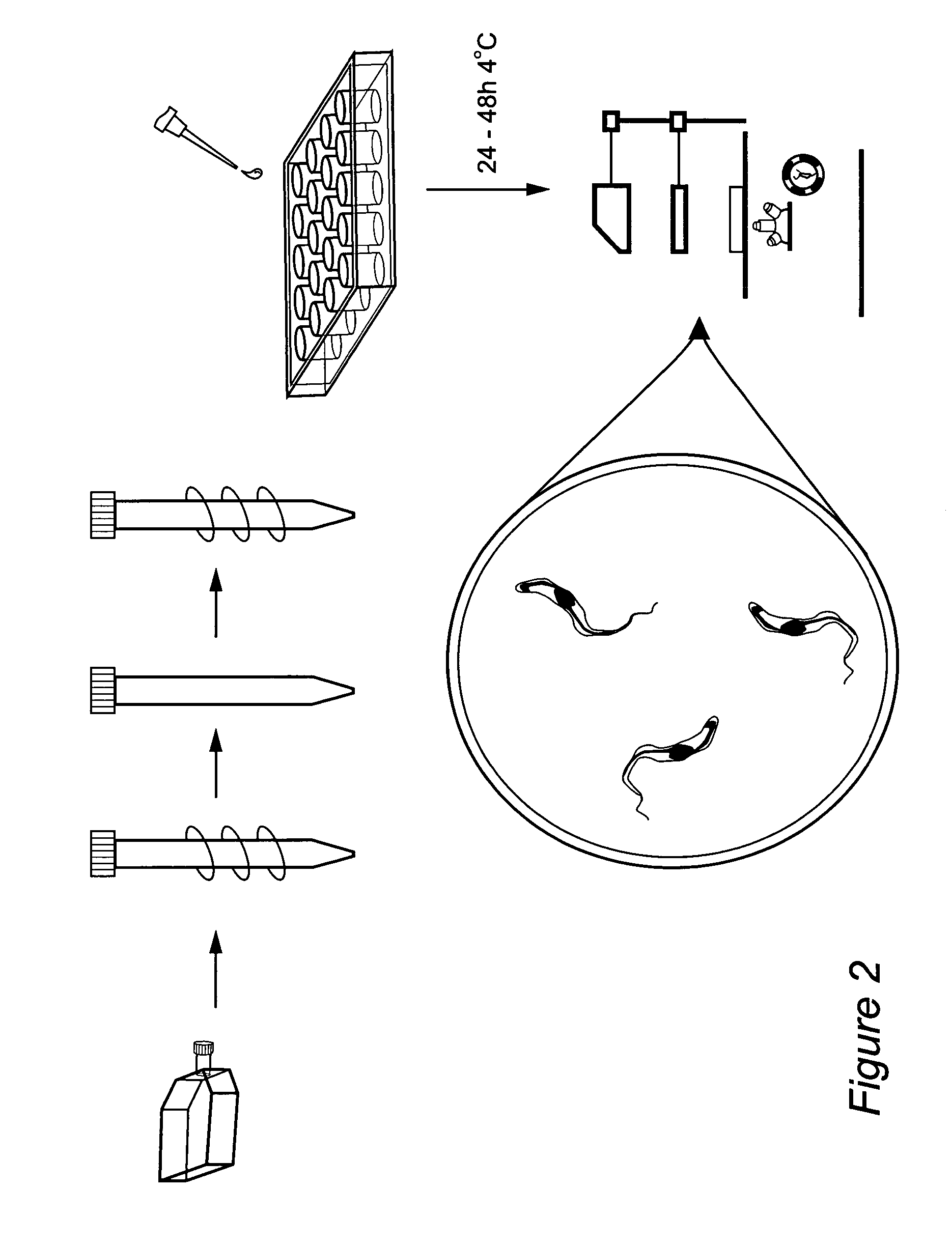 Process for isolating physalins from plants and pharmaceutical compositions containing physalins