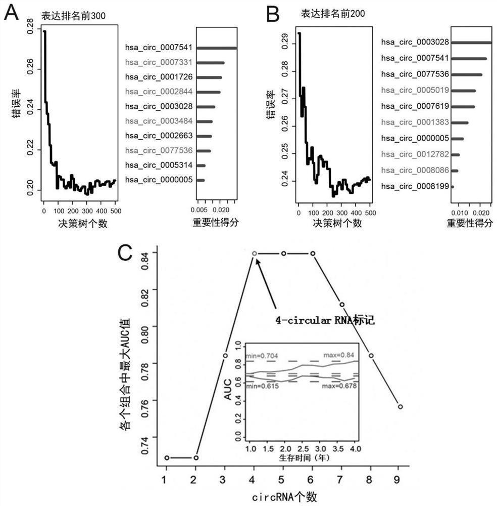 Human esophageal squamous cell carcinoma circular RNA marker and application thereof