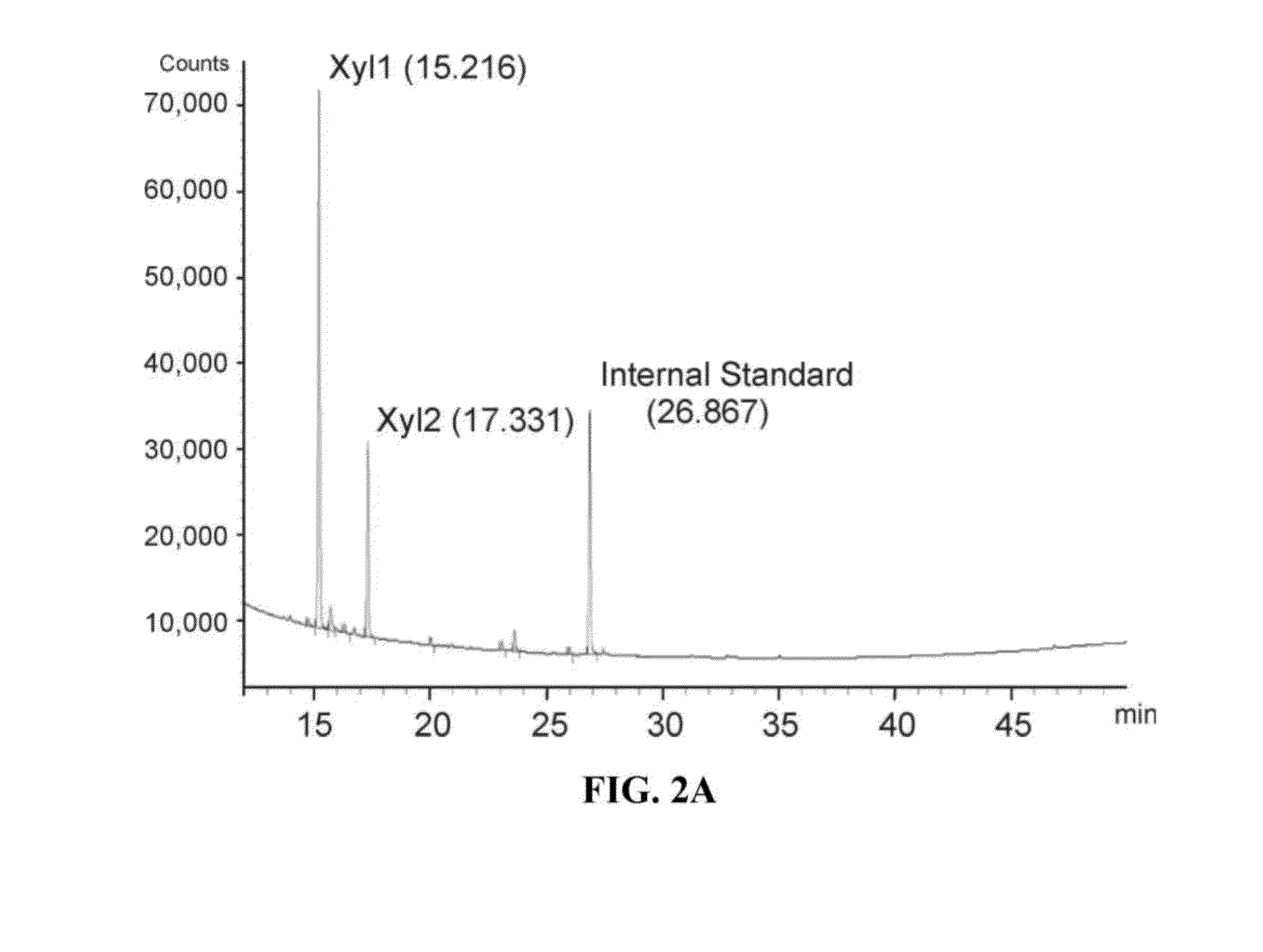 Occidiofungin, a unique antifungal glycopeptide produced by a strain of Burkholderia contaminans