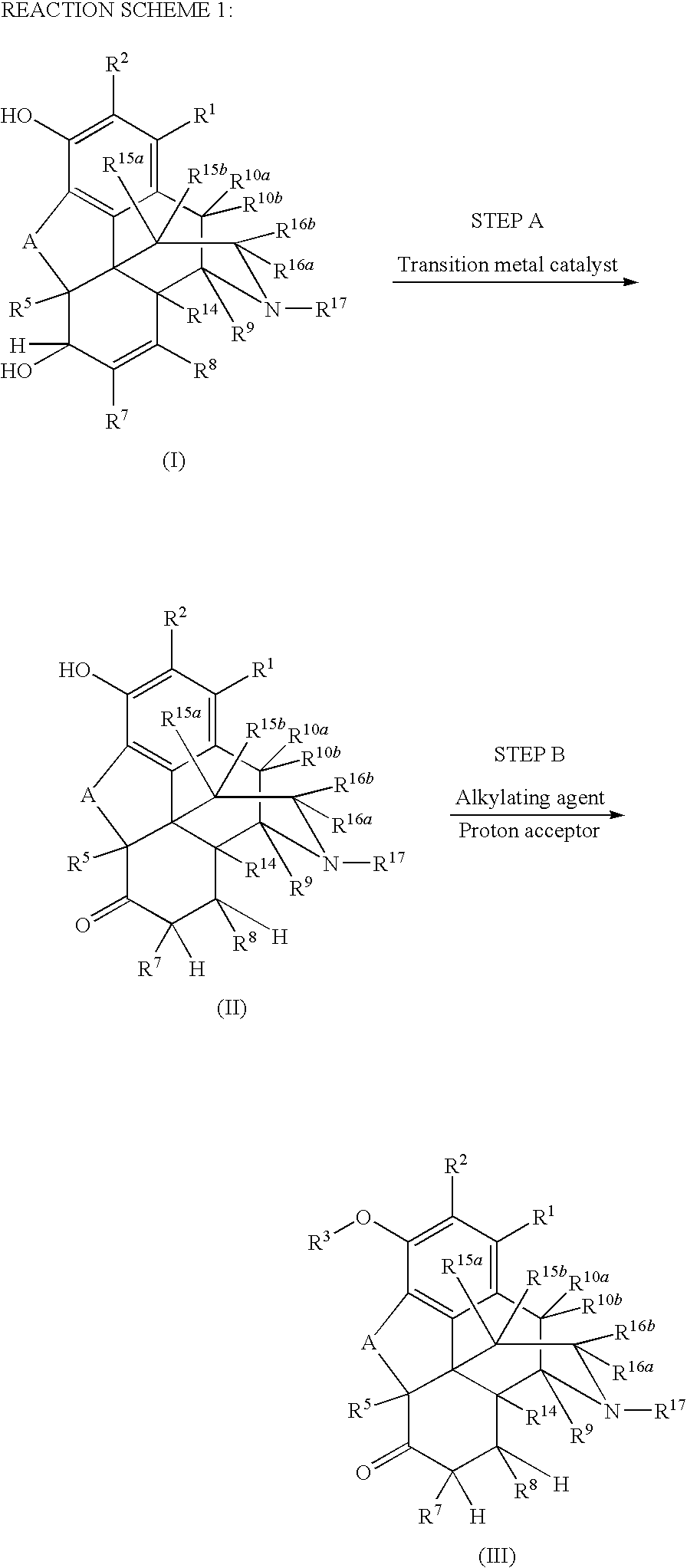 Preparation of 6-Keto, 3-Alkoxy Morphinans