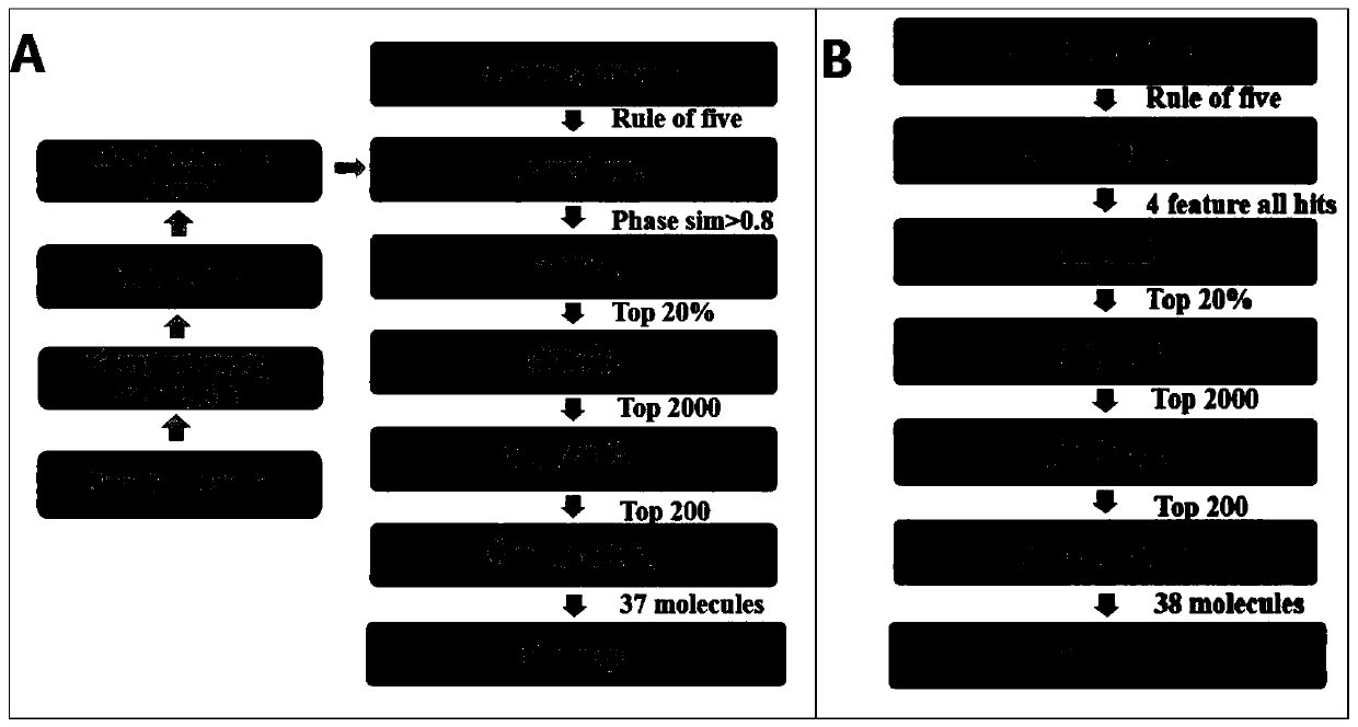 Novel estrogen-related receptor alpha agonists and application thereof