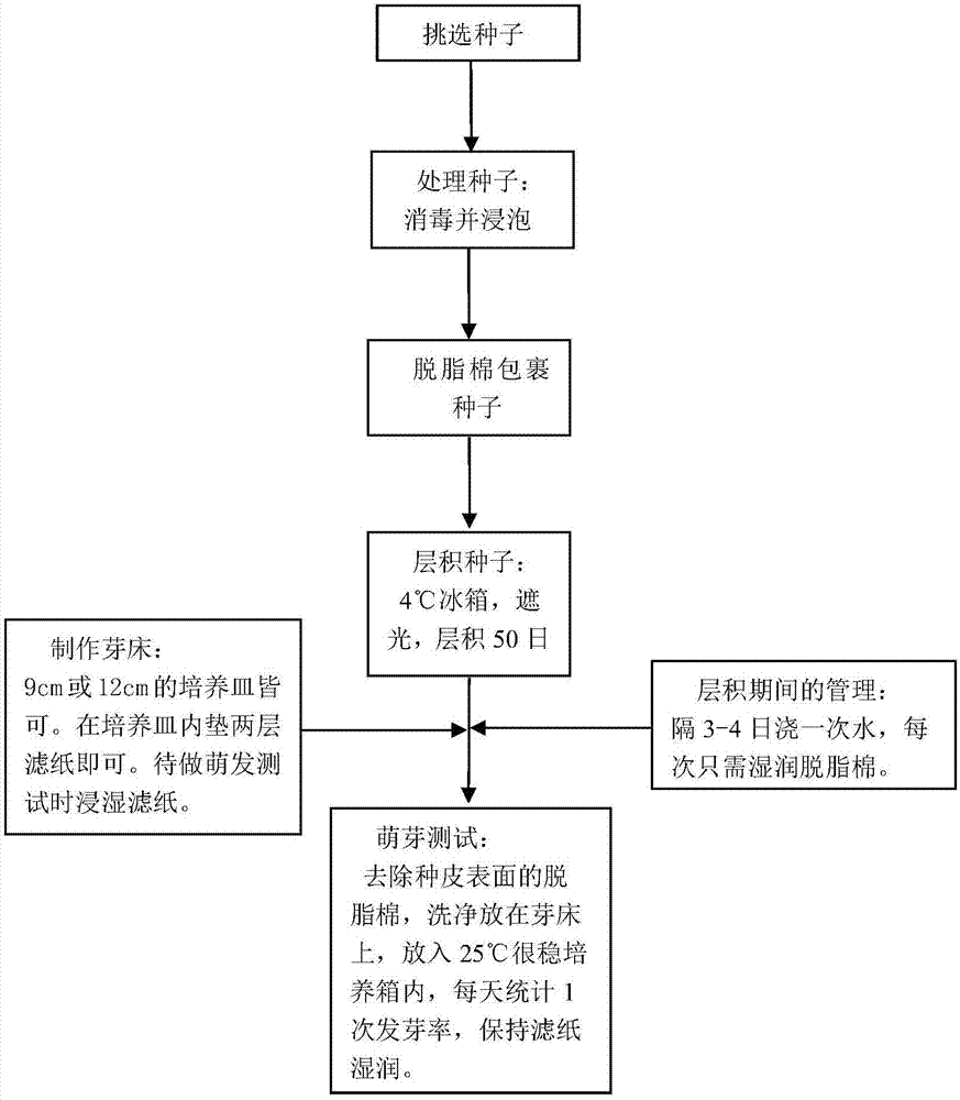 Method for releasing dormancy of pear seeds