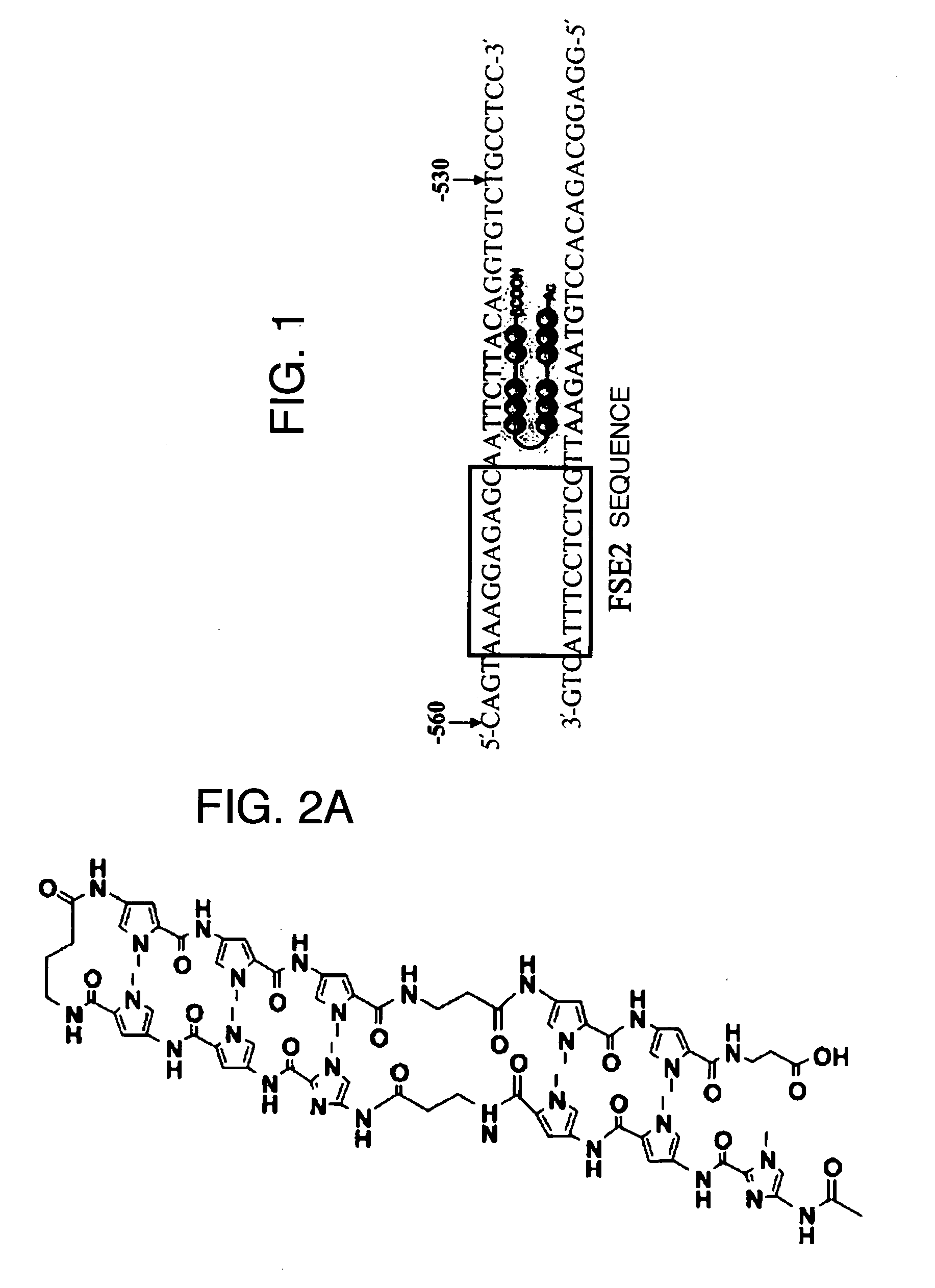 Tgf-Beta  Gene Expression Inhibitor