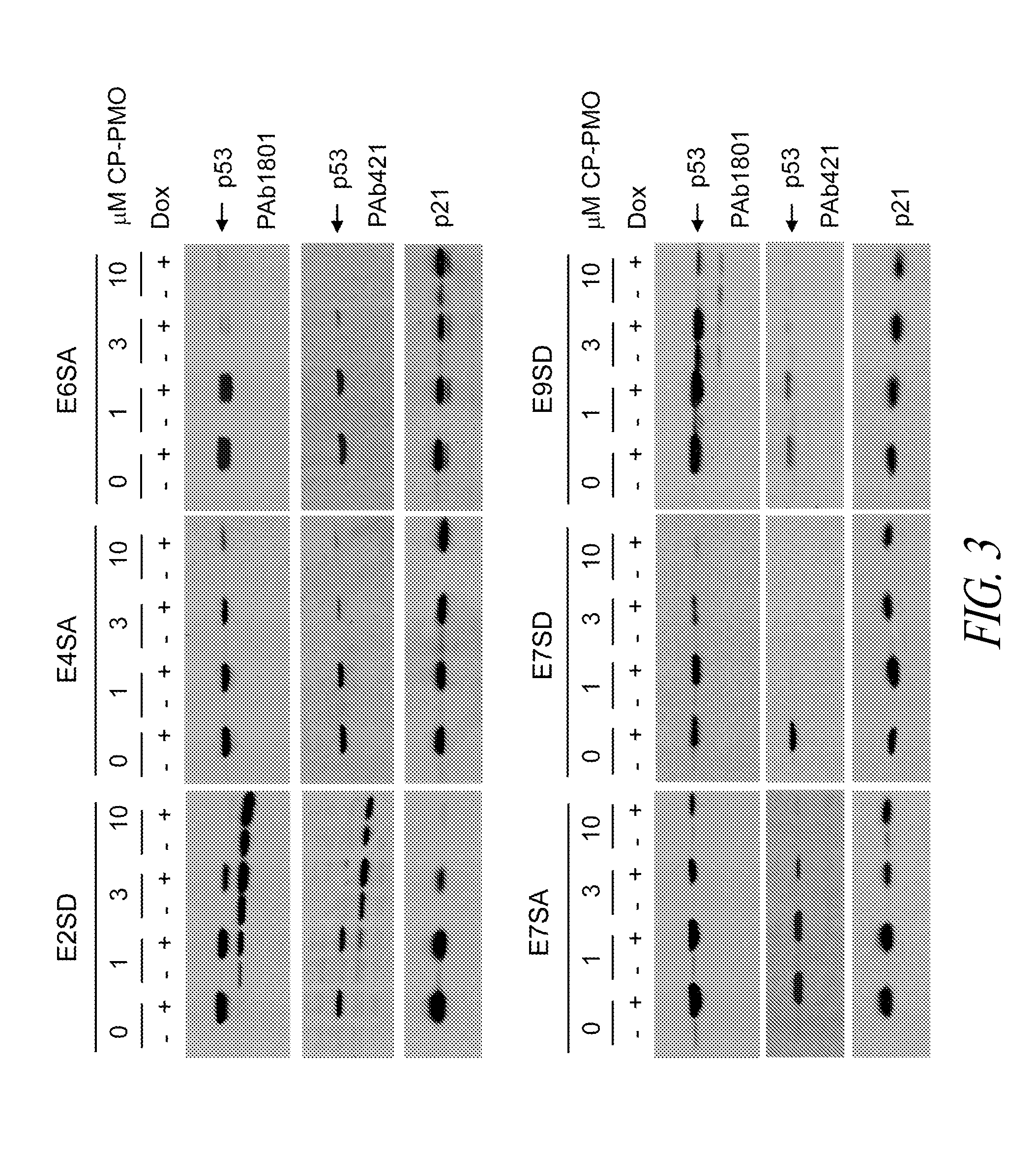 Methods and compositions for manipulating translation of protein isoforms from alternative initiation of start sites