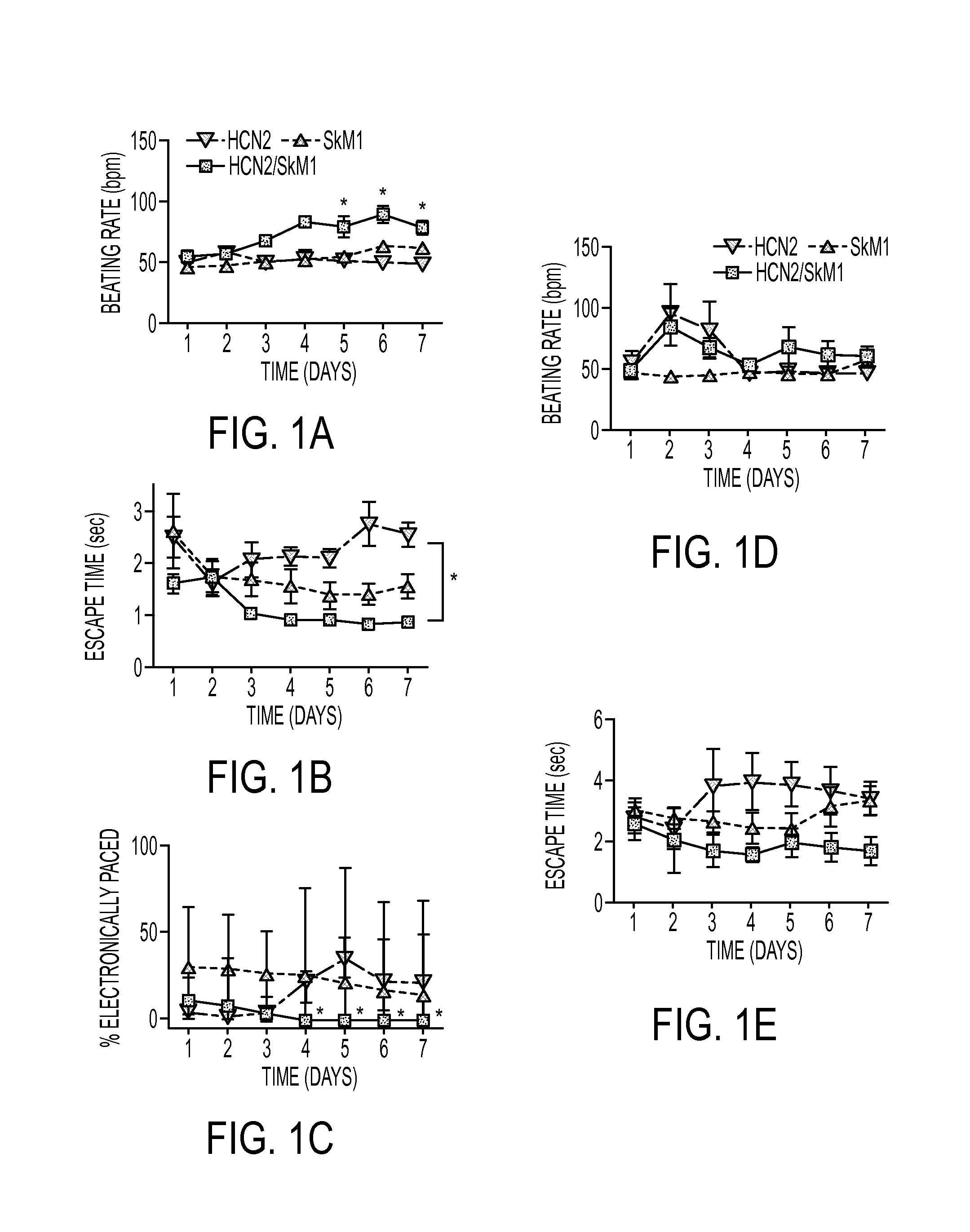 Biological Pacemakers Incorporating HCN2 and SkM1 Genes