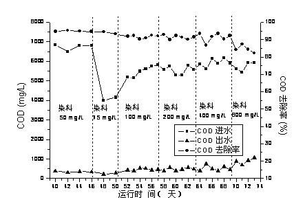 Electrically enhanced internal anaerobic zero-valent iron reactor