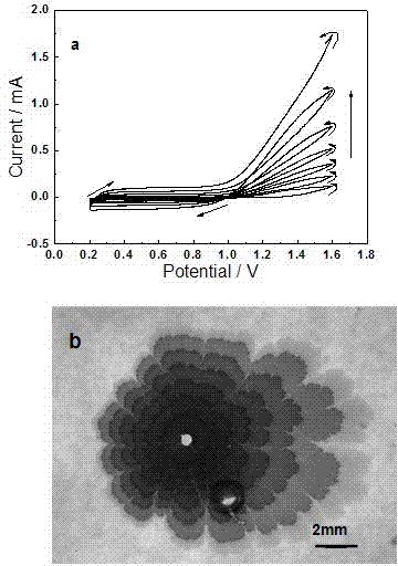 Conductive poly 3,4-ethylene dioxy thiophene film and preparation method thereof