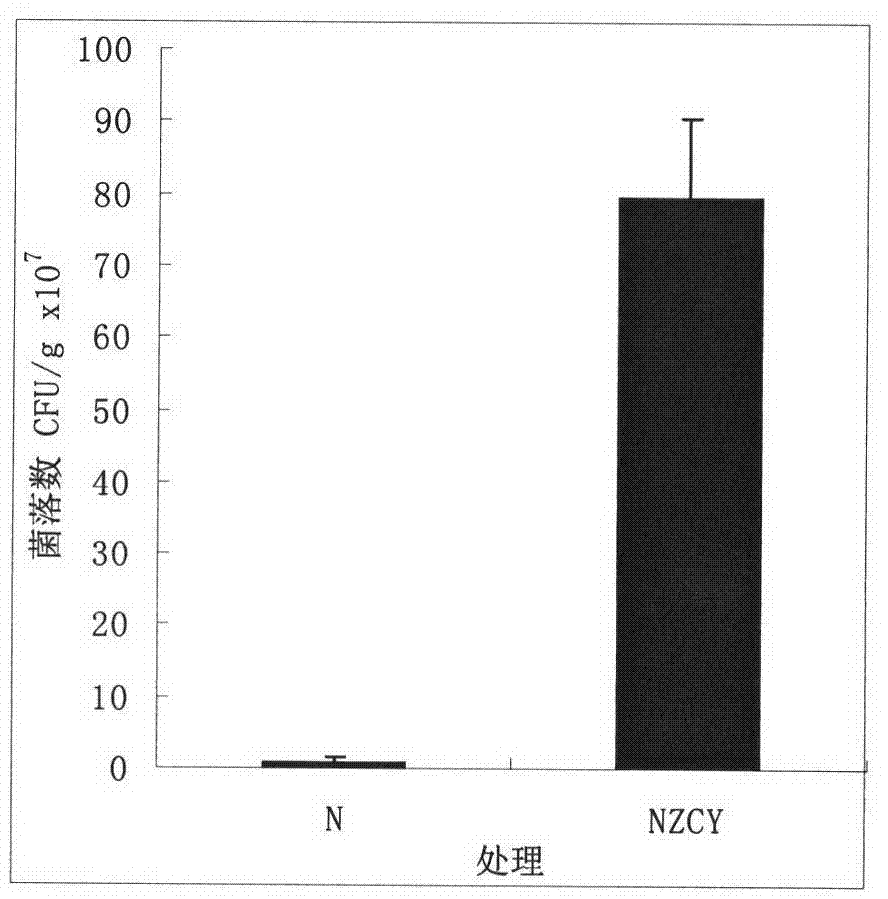 Process for utilizing three abandoned proteins and thoroughly-decomposed cow dung to produce growth-promoting bio-organic fertilizer and product thereof