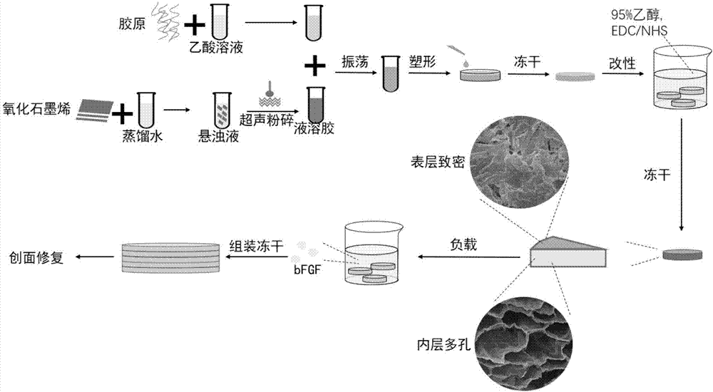 Preparation method and application of skin regeneration aerogel type dressing