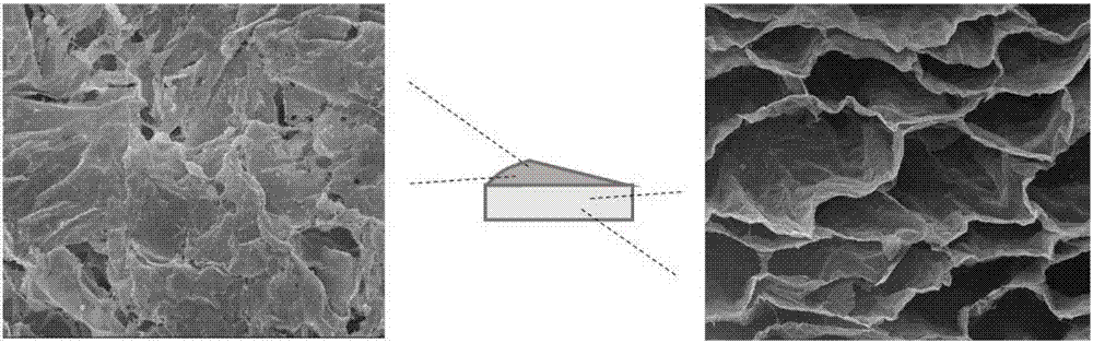 Preparation method and application of skin regeneration aerogel type dressing