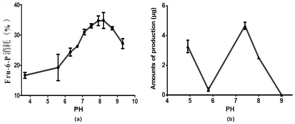 Preparation and application of glutamine-fructose-6-phosphate aminotransferase coding gene and glutamine-fructose-6-phosphate aminotransferase enzyme