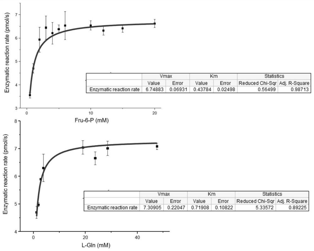 Preparation and application of glutamine-fructose-6-phosphate aminotransferase coding gene and glutamine-fructose-6-phosphate aminotransferase enzyme