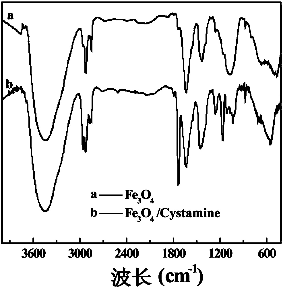 Preparation method of Fe3O4 nanoparticles with cluster structure