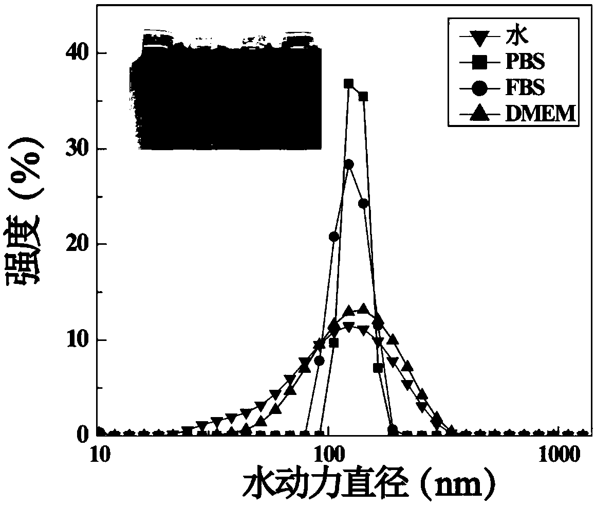 Preparation method of Fe3O4 nanoparticles with cluster structure