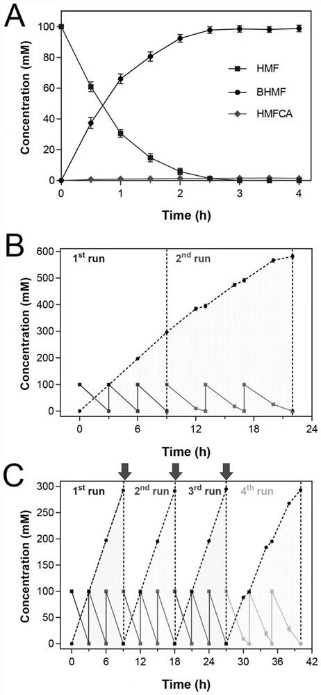 Enterobacter ludwigii and application thereof