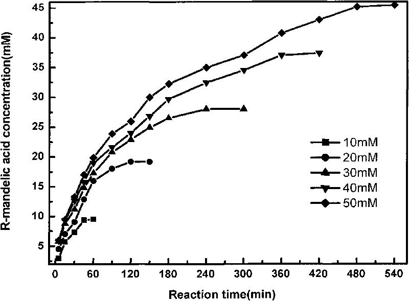 Method for producing R-mandelic acid and derivates thereof by biocatalysis