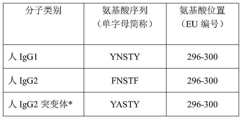 TNK-tPA fusion protein with enhanced transepithelial cell transport capacity, and application thereof